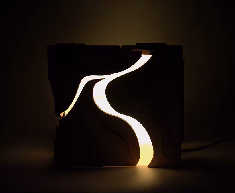 project image 3