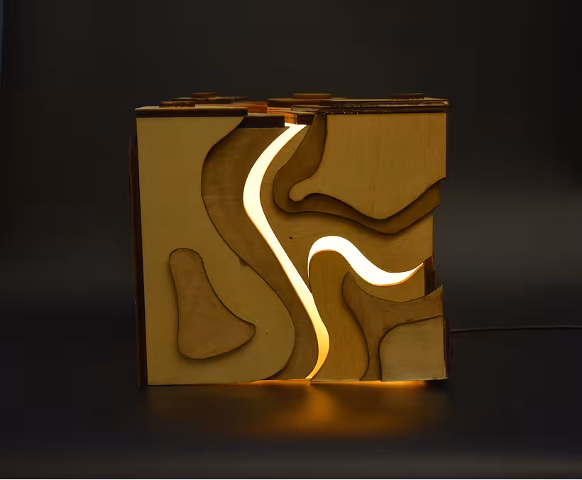 project image 4