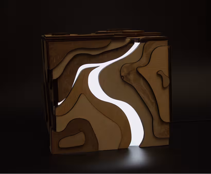 project image 5